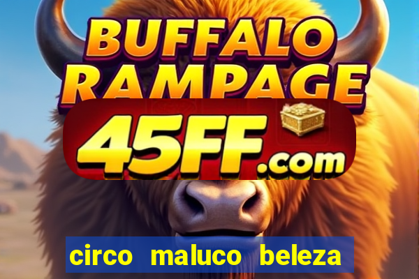 circo maluco beleza recife circo maluco